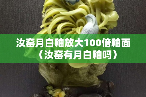 汝窑月白釉放大100倍釉面（汝窑有月白釉吗）