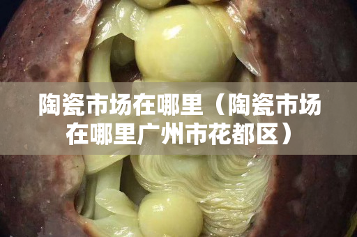 陶瓷市场在哪里（陶瓷市场在哪里广州市花都区）