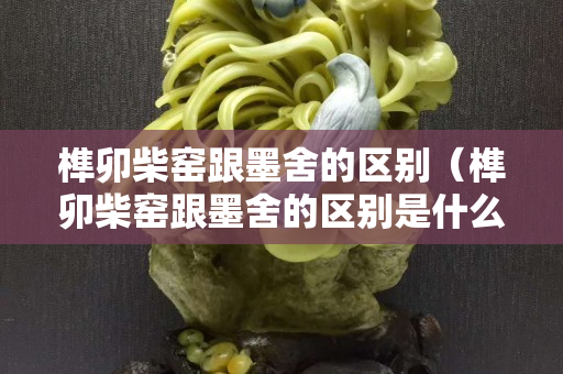榫卯柴窑跟墨舍的区别（榫卯柴窑跟墨舍的区别是什么）