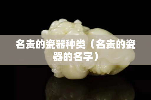名贵的瓷器种类（名贵的瓷器的名字）