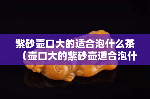 紫砂壶口大的适合泡什么茶（壶口大的紫砂壶适合泡什么茶）