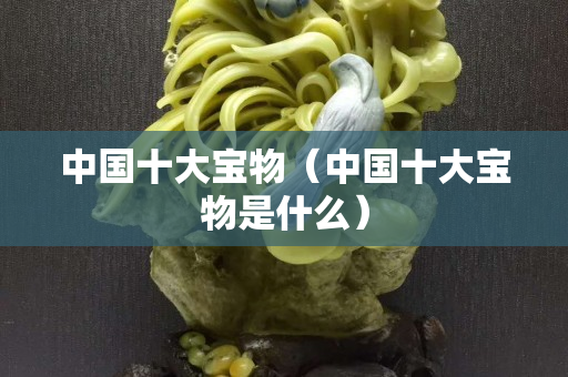 中国十大宝物（中国十大宝物是什么）