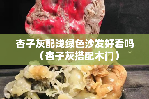 杏子灰配浅绿色沙发好看吗（杏子灰搭配木门）
