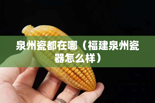 泉州瓷都在哪（福建泉州瓷器怎么样）