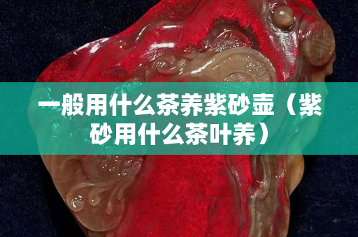 一般用什么茶养紫砂壶（紫砂用什么茶叶养）