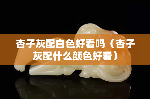 杏子灰配白色好看吗（杏子灰配什么颜色好看）