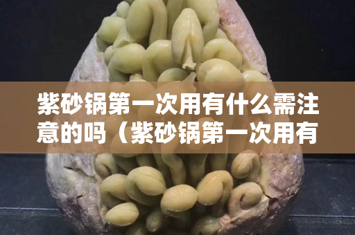 紫砂锅第一次用有什么需注意的吗（紫砂锅第一次用有什么需注意的吗知乎）