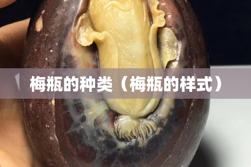 梅瓶的种类（梅瓶的样式）