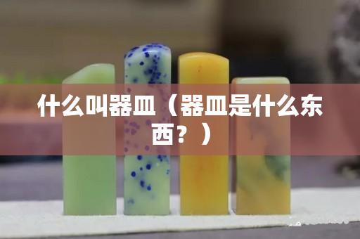 什么叫器皿（器皿是什么东西？）