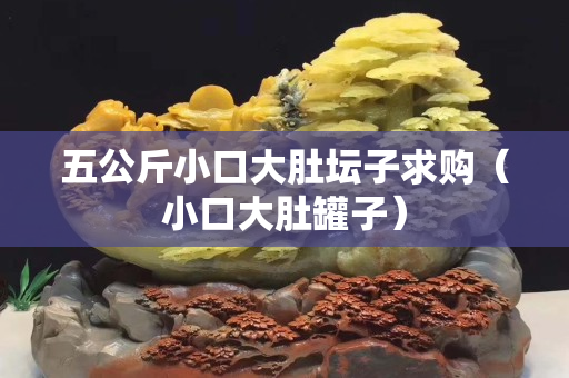 五公斤小口大肚坛子求购（小口大肚罐子）