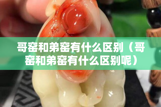 哥窑和弟窑有什么区别（哥窑和弟窑有什么区别呢）