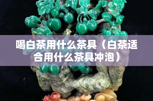 喝白茶用什么茶具（白茶适合用什么茶具冲泡）
