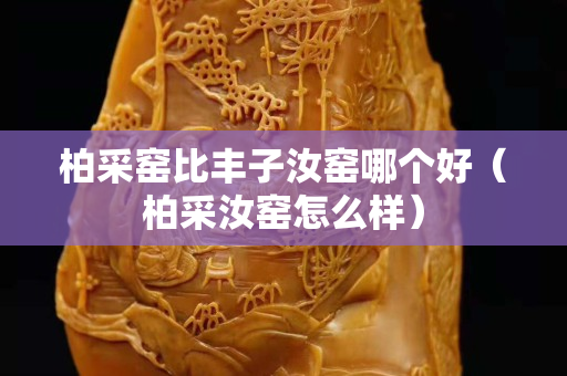 柏采窑比丰子汝窑哪个好（柏采汝窑怎么样）