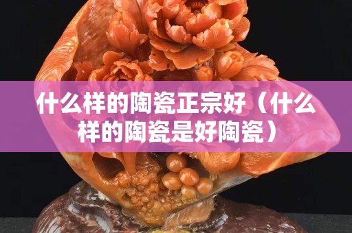 什么样的陶瓷正宗好（什么样的陶瓷是好陶瓷）