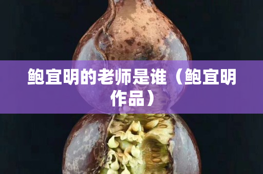 鲍宜明的老师是谁（鲍宜明作品）