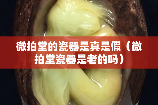 微拍堂的瓷器是真是假（微拍堂瓷器是老的吗）