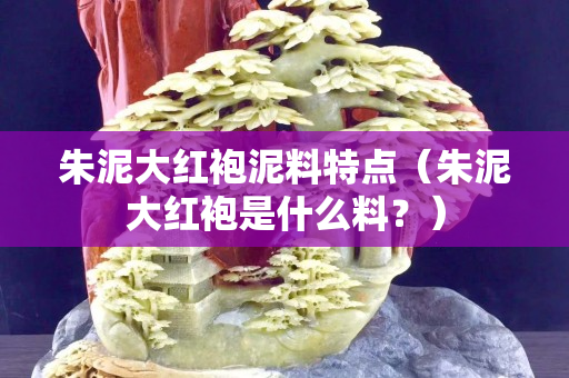 朱泥大红袍泥料特点（朱泥大红袍是什么料？）