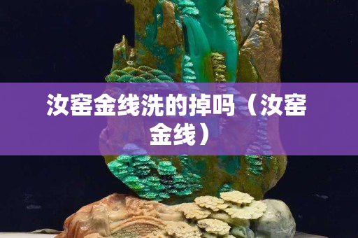 汝窑金线洗的掉吗（汝窑 金线）