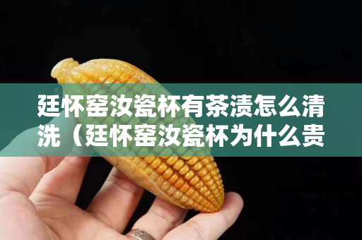 廷怀窑汝瓷杯有茶渍怎么清洗（廷怀窑汝瓷杯为什么贵）