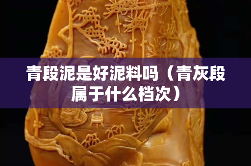 青段泥是好泥料吗（青灰段属于什么档次）