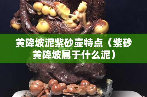 黄降坡泥紫砂壶特点（紫砂黄降坡属于什么泥）