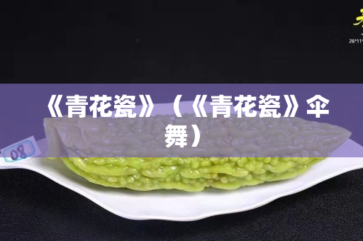 《青花瓷》（《青花瓷》伞舞）