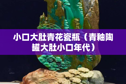 小口大肚青花瓷瓶（青釉陶罐大肚小口年代）
