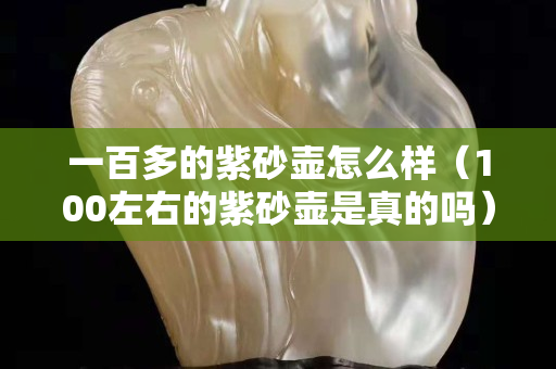 一百多的紫砂壶怎么样（100左右的紫砂壶是真的吗）
