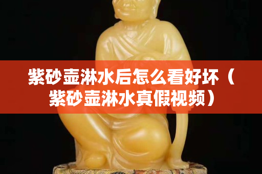 紫砂壶淋水后怎么看好坏（紫砂壶淋水真假视频）