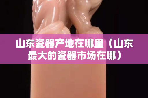 山东瓷器产地在哪里（山东最大的瓷器市场在哪）