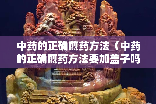 中药的正确煎药方法（中药的正确煎药方法要加盖子吗）