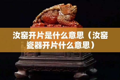 汝窑开片是什么意思（汝窑瓷器开片什么意思）