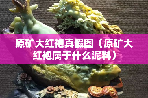 原矿大红袍真假图（原矿大红袍属于什么泥料）
