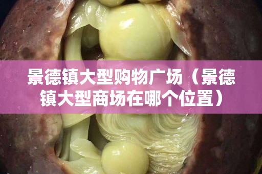 景德镇大型购物广场（景德镇大型商场在哪个位置）