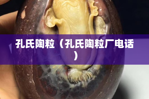 孔氏陶粒（孔氏陶粒厂电话）