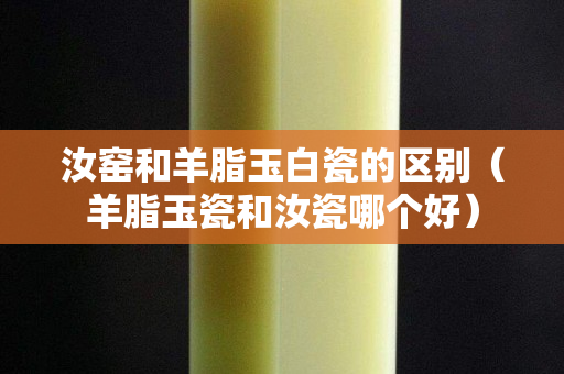 汝窑和羊脂玉白瓷的区别（羊脂玉瓷和汝瓷哪个好）