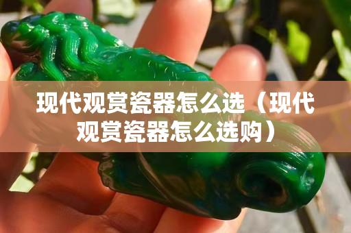 现代观赏瓷器怎么选（现代观赏瓷器怎么选购）