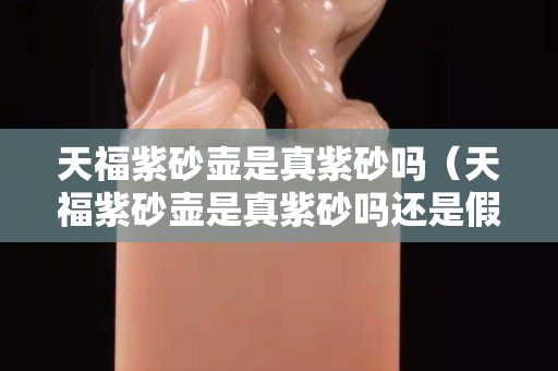 天福紫砂壶是真紫砂吗（天福紫砂壶是真紫砂吗还是假的）