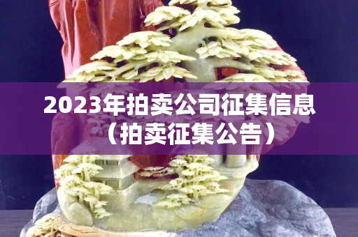 2023年拍卖公司征集信息（拍卖征集公告）