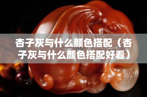 杏子灰与什么颜色搭配（杏子灰与什么颜色搭配好看）
