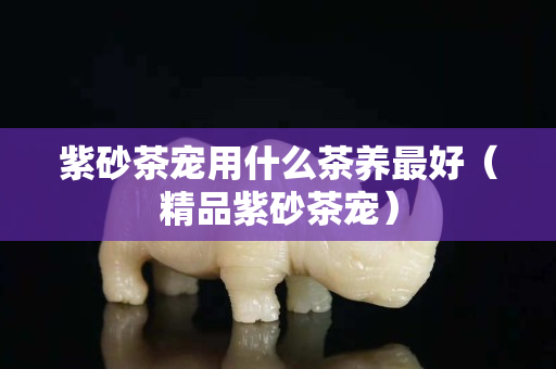 紫砂茶宠用什么茶养最好（精品紫砂茶宠）