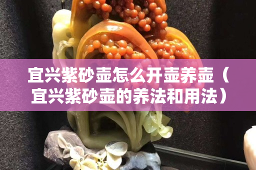 宜兴紫砂壶怎么开壶养壶（宜兴紫砂壶的养法和用法）