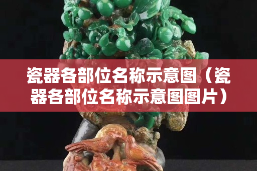 瓷器各部位名称示意图（瓷器各部位名称示意图图片）