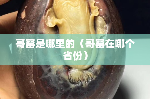 哥窑是哪里的（哥窑在哪个省份）