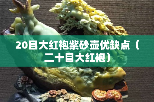 20目大红袍紫砂壶优缺点（二十目大红袍）