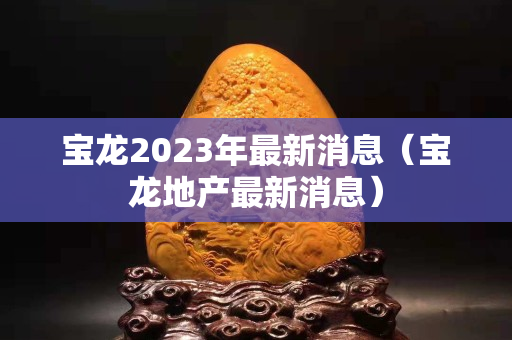 宝龙2023年最新消息（宝龙地产最新消息）
