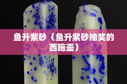 鱼升紫砂（鱼升紫砂抽奖的西施壶）