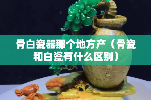 骨白瓷器那个地方产（骨瓷和白瓷有什么区别）