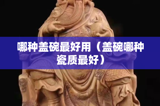 哪种盖碗最好用（盖碗哪种瓷质最好）