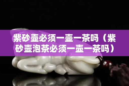 紫砂壶必须一壶一茶吗（紫砂壶泡茶必须一壶一茶吗）